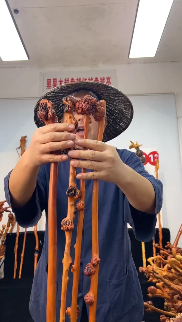 黑果木其他黑果木732
