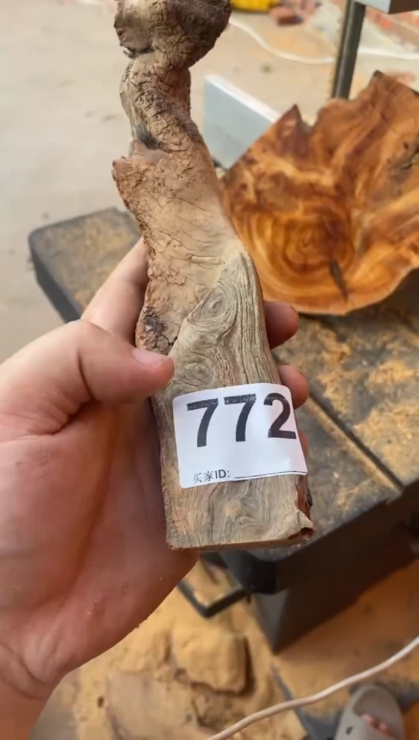 柏木（崖柏）太行崖柏切片一块（津诚林）