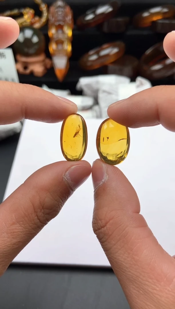 【闪购商品】琥珀颈饰未镶嵌虫珀