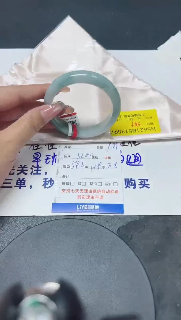未镶嵌手镯翡翠54.2/13597