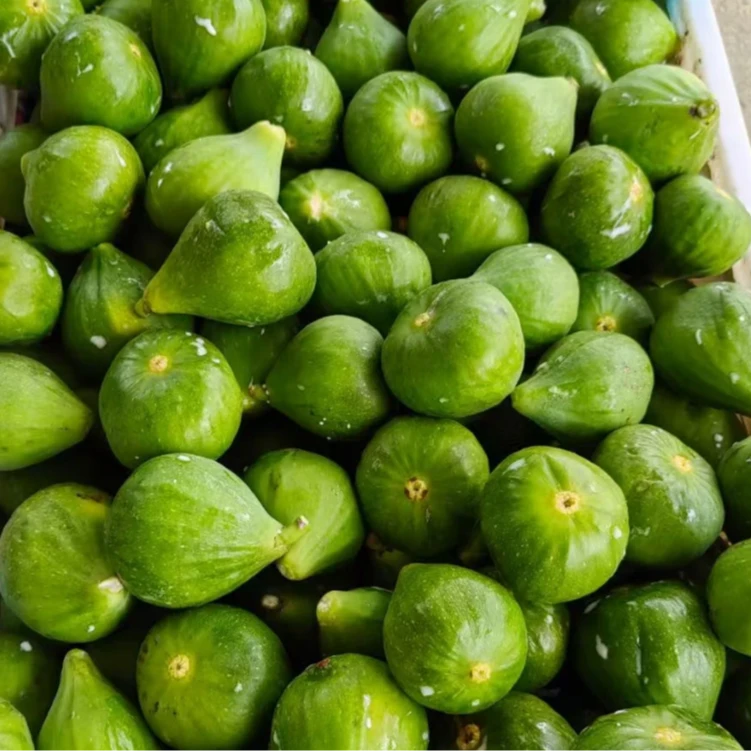 单果约30g 只发北京和周边 保流蜜威海青红皮无花果水果 单果约30g顺丰包邮