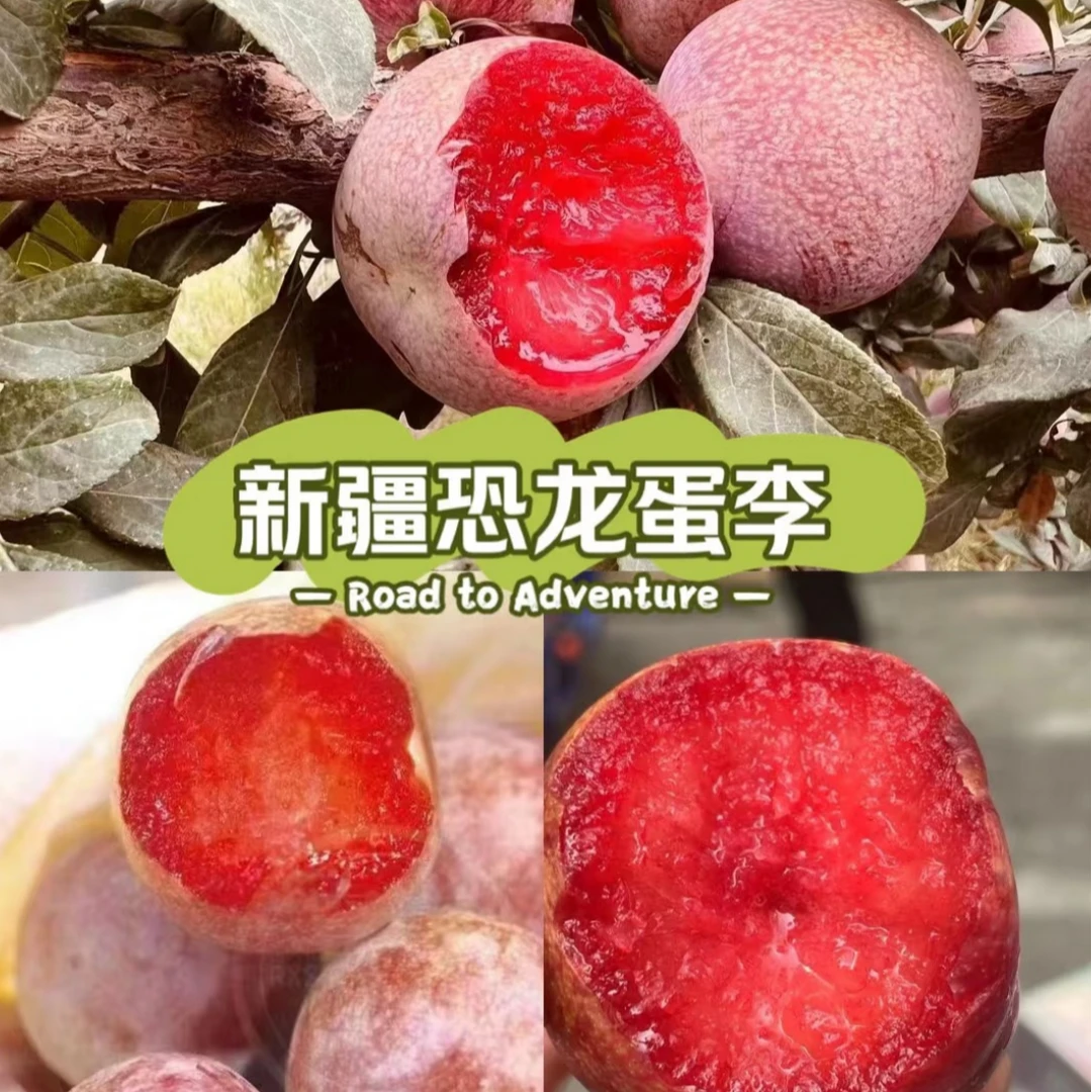 【新疆直发】新疆喀什恐龙蛋新鲜杏李现摘现发脆甜多汁