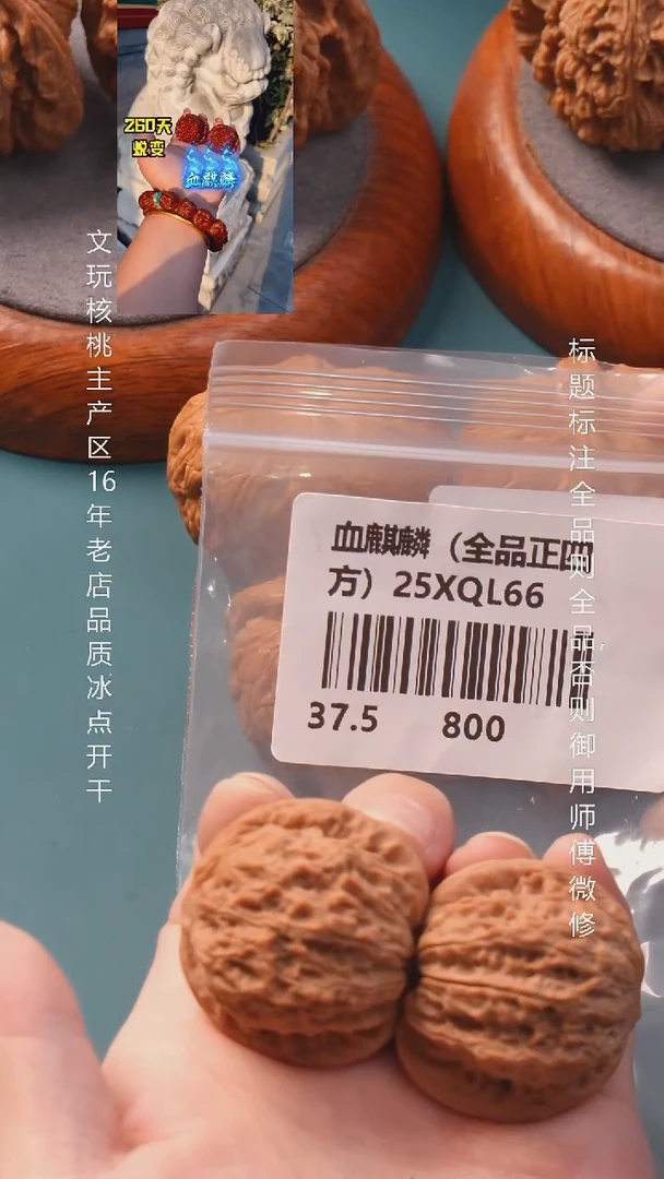 把件文玩核桃37血麒麟·【全品】6号