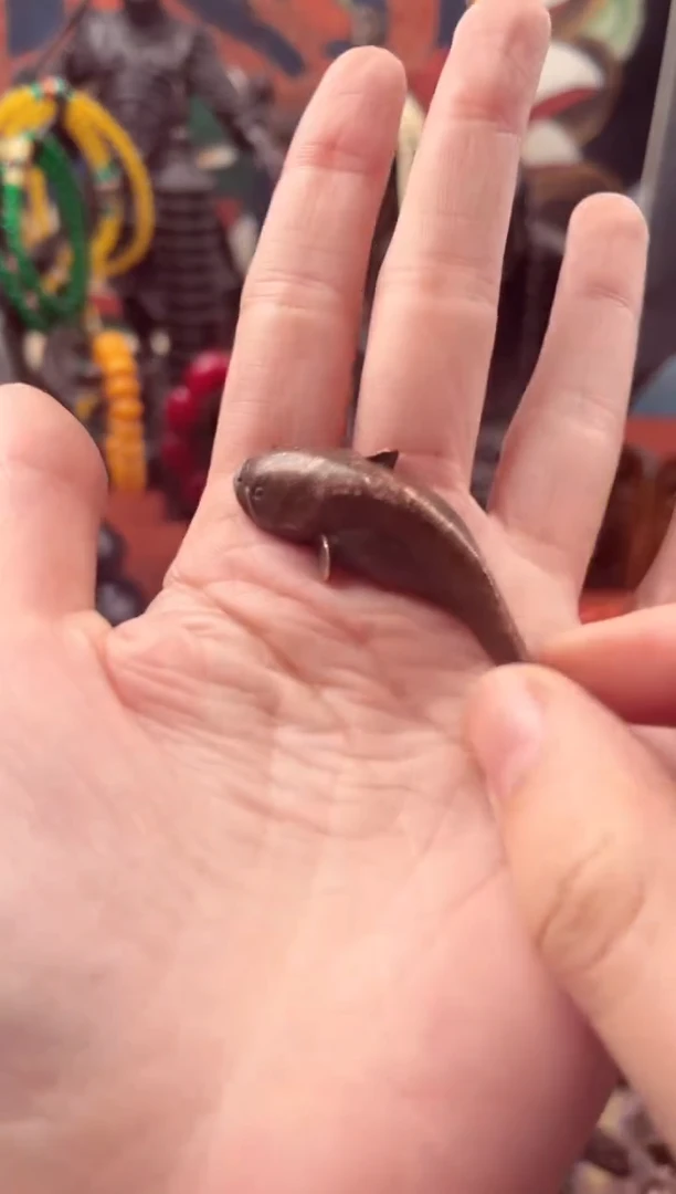 【闪购商品】飞姐专属精品推荐365