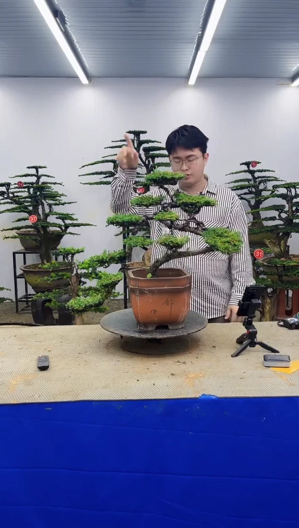 无花朵一物一拍，所见即所得