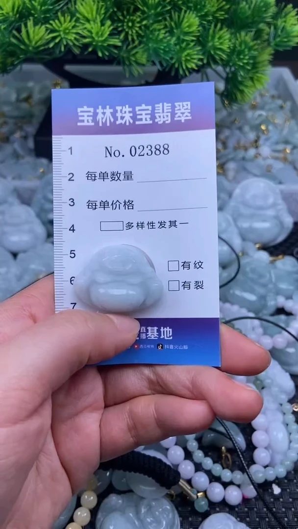 颈饰未镶嵌翡翠天然缅甸翡翠2388