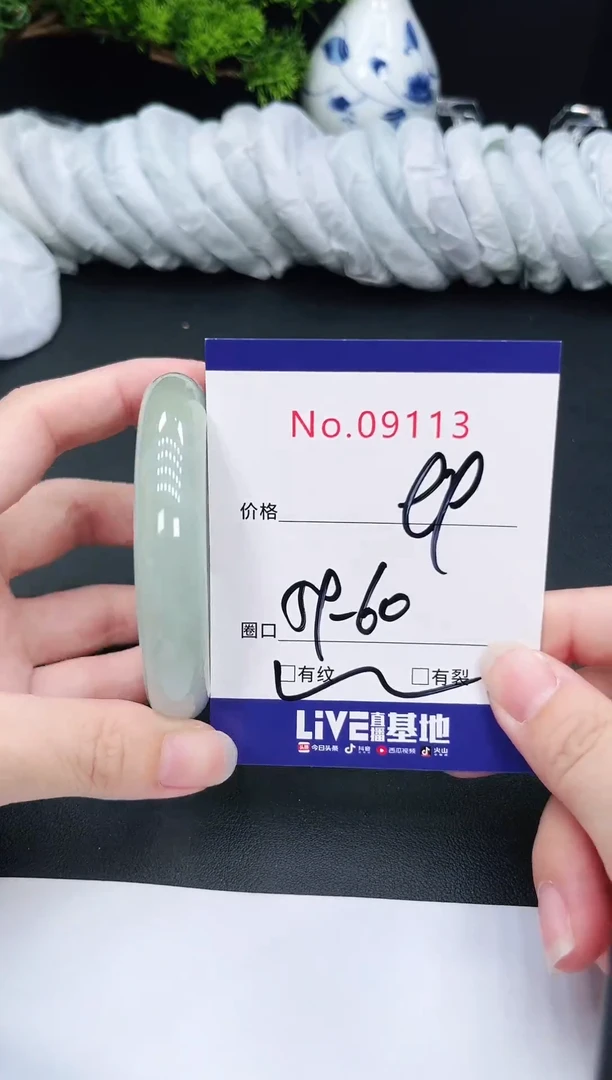 未镶嵌手镯翡翠9113
