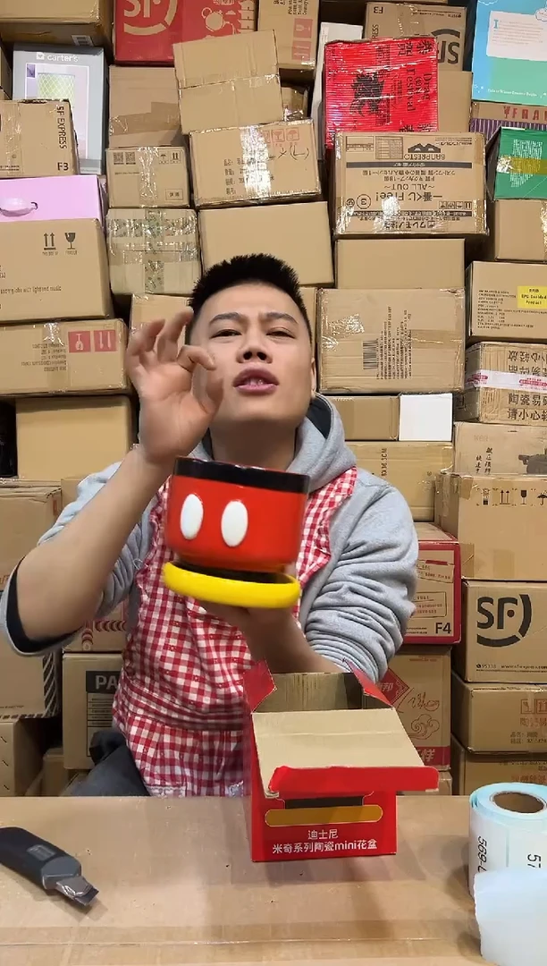 【闪购商品】杯陶瓷原盒米奇花盆