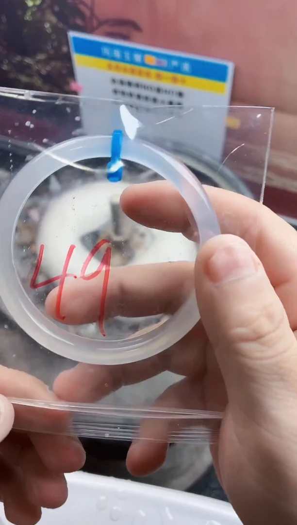 玛瑙/玉髓手镯未镶嵌49