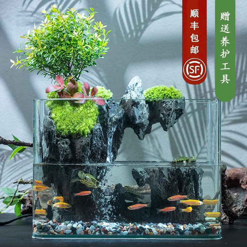 【云隐】国风山水-内置循环水桌面景观小叶赤楠懒人植物25*16*18