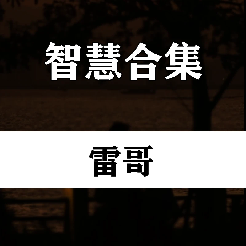 智慧合集（雷哥）线上课程