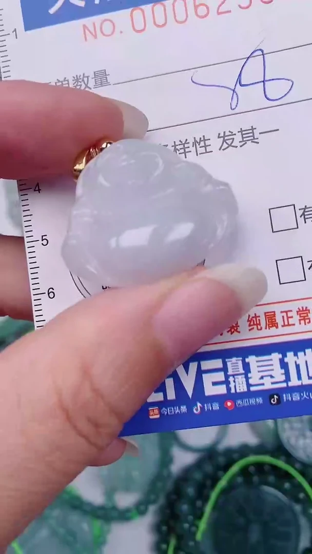 翡翠未镶嵌颈饰00006235