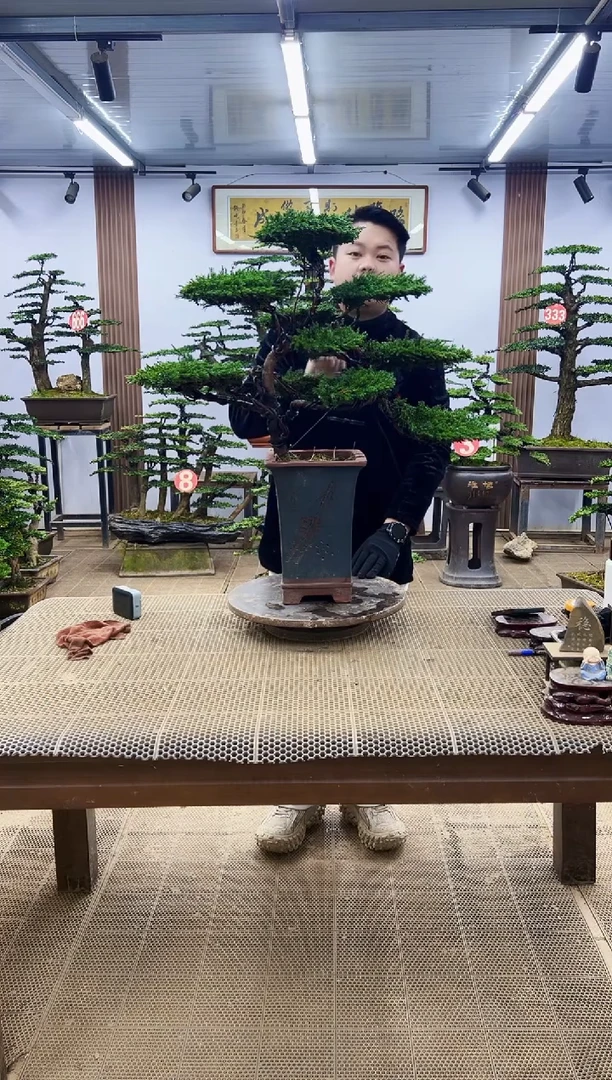 【闪购商品】0000000000