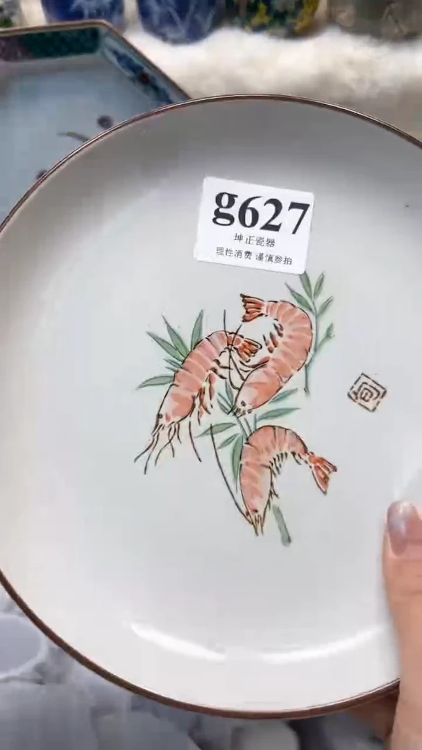 【闪购商品】瓷片          g627