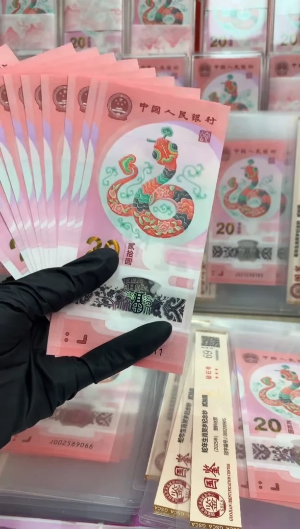 【闪购商品】塑料2025蛇钞  十连号【随机号码】无4