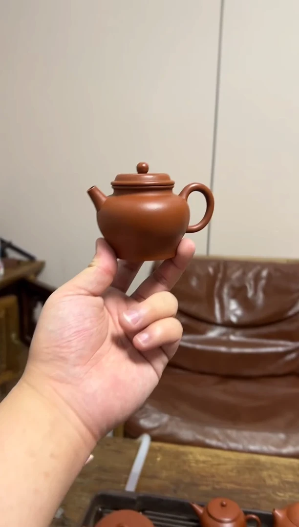 茶壶紫砂新款宫灯管