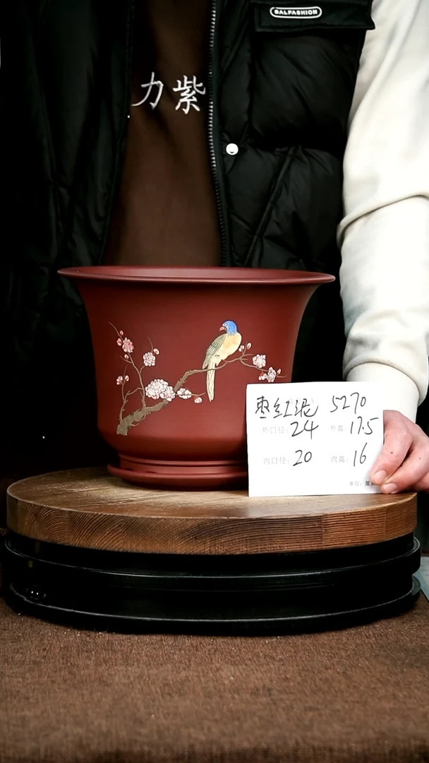 紫砂花盆花卉园艺5270+Z