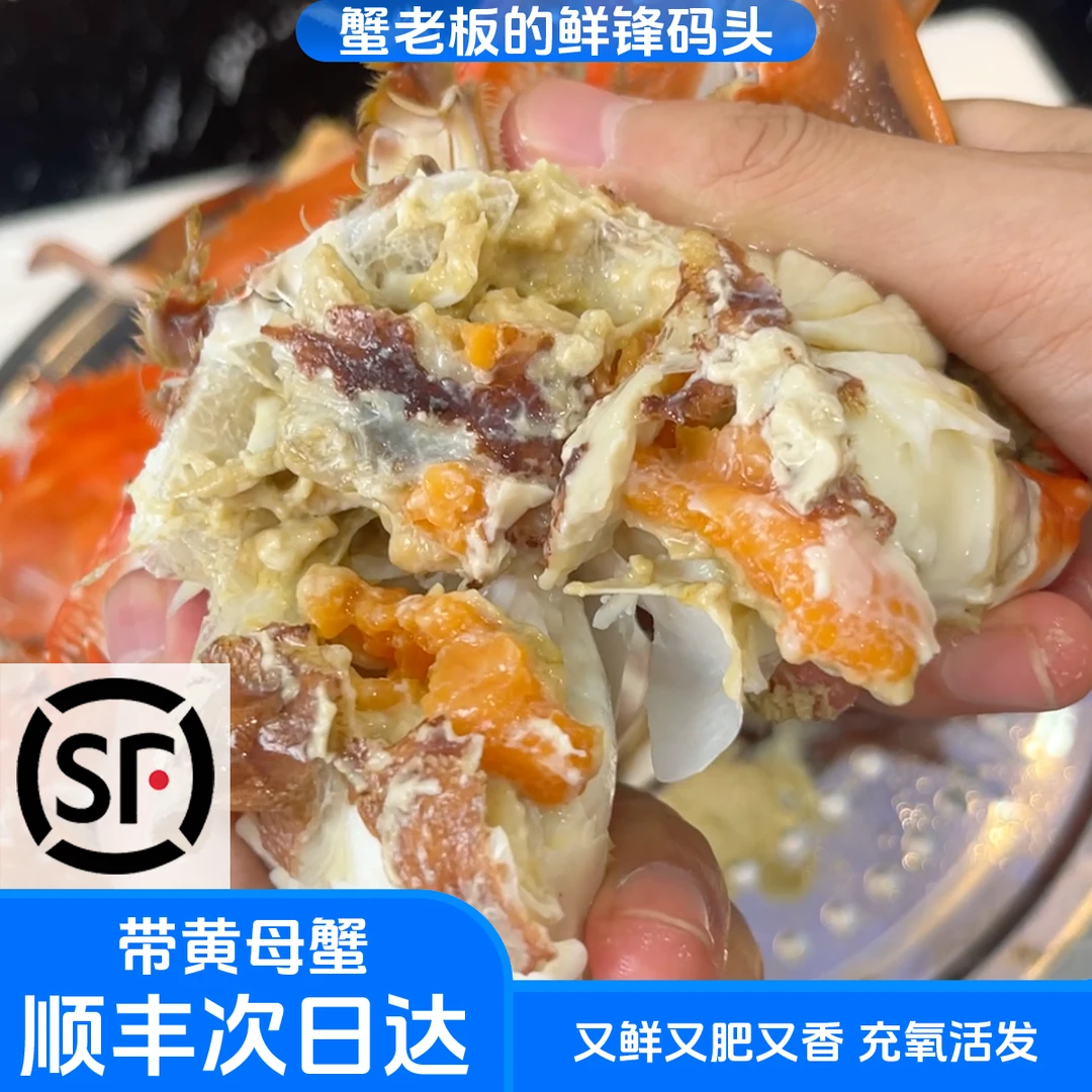 【保鲜不保活】带黄明黄三点红母蟹3-7两青岛顺丰充氧活发2-4斤海鲜