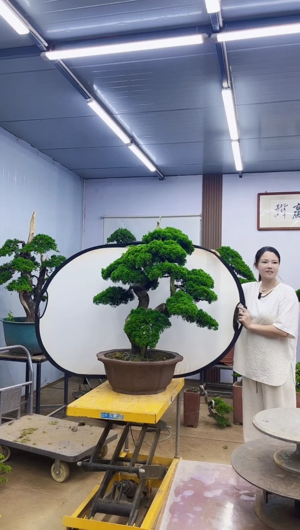 无花朵鸿*00000000000000000000