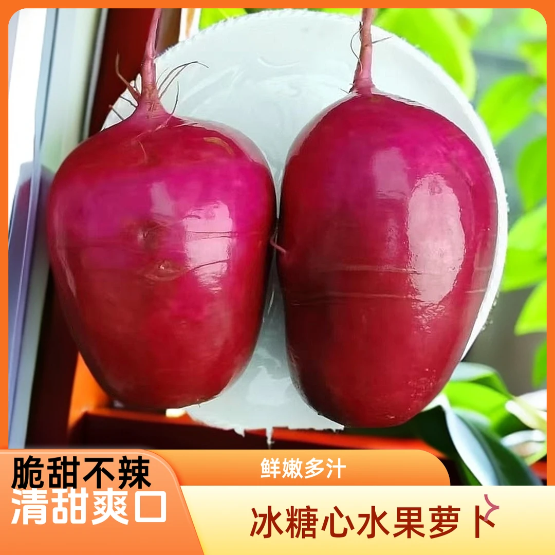 冰糖心萝卜生吃萝卜水果萝卜新鲜甜脆潍县沙窝红皮萝卜脆甜水萝卜