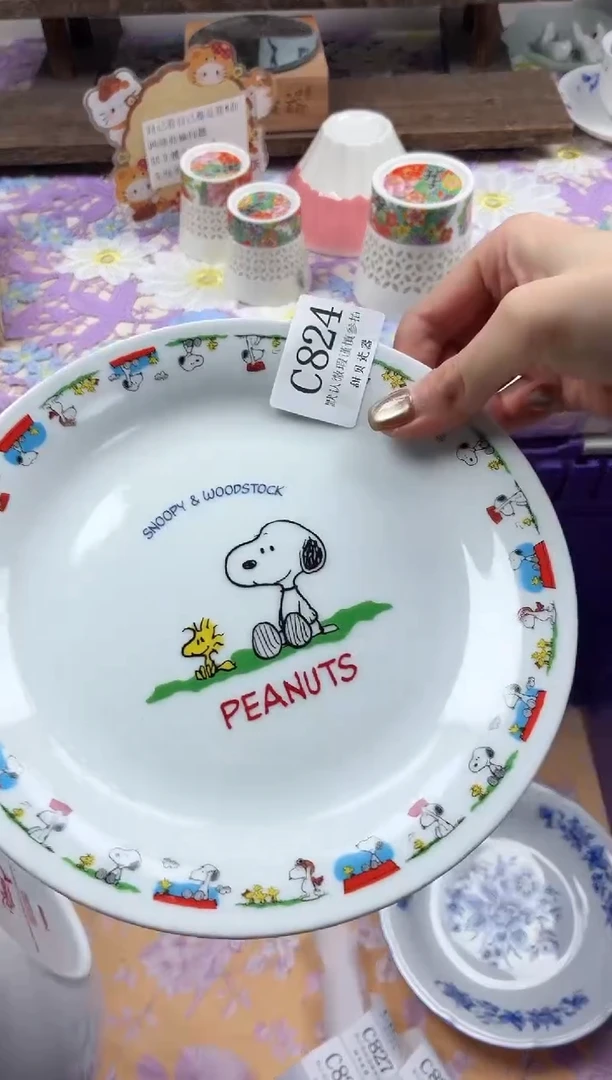 瓷片廿*                C824