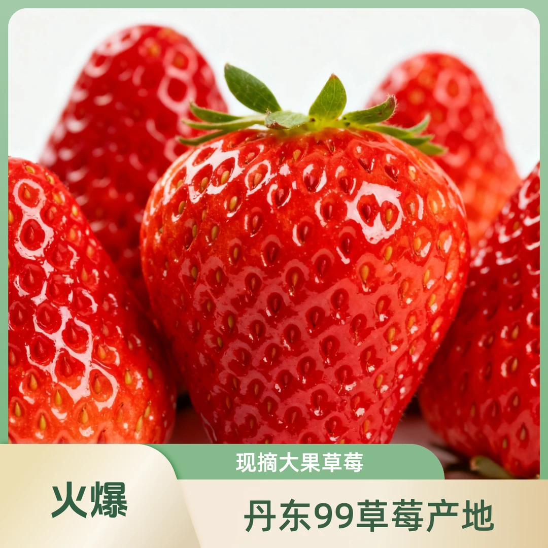 丹东99草莓新鲜现摘大果