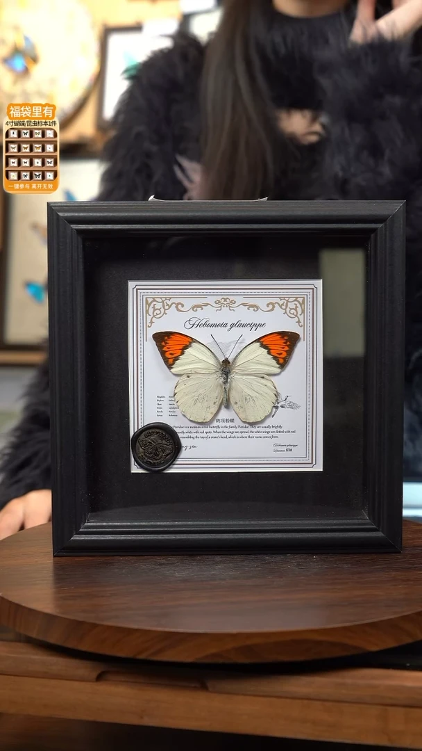 鹤顶粉蝶盲盒版7寸方框