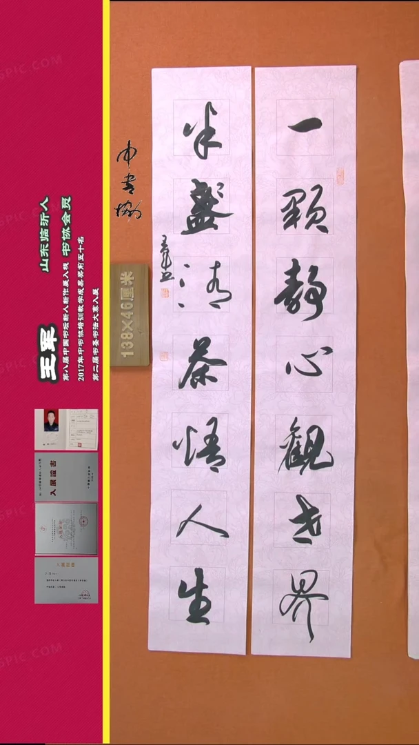 【闪购商品】书法112王军书法作品