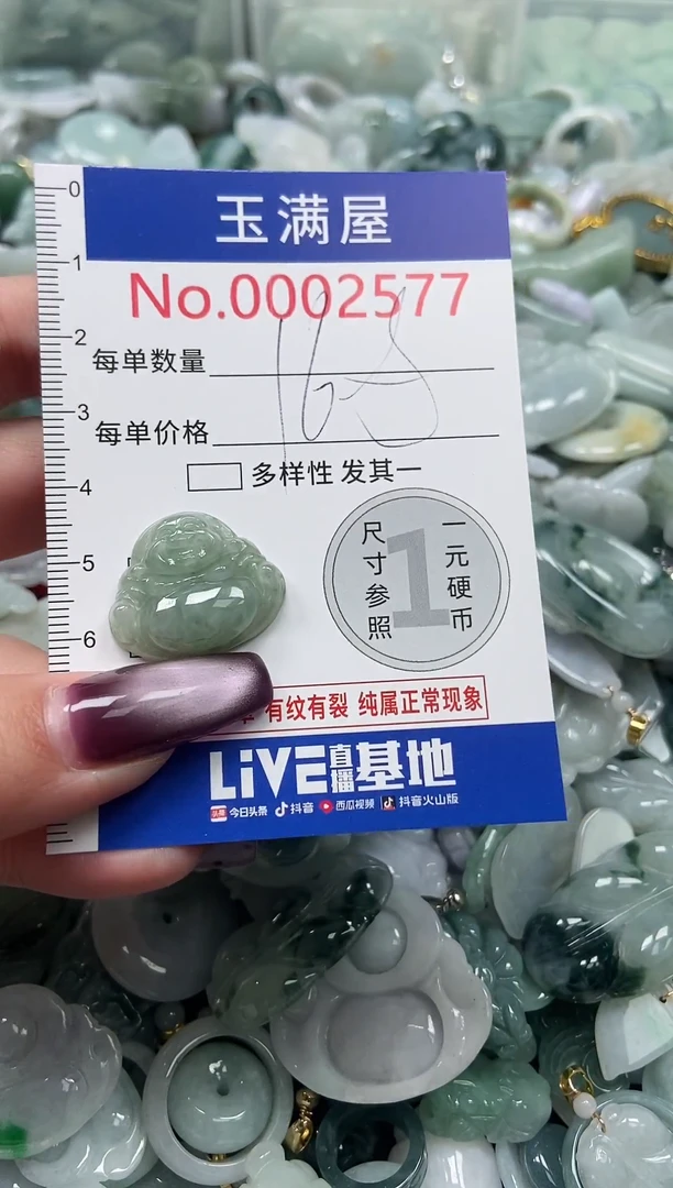 颈饰未镶嵌翡翠2577