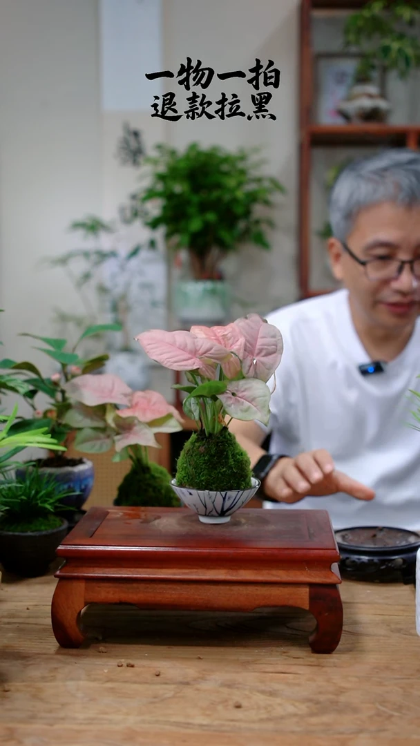 完全开放甛*红粉431