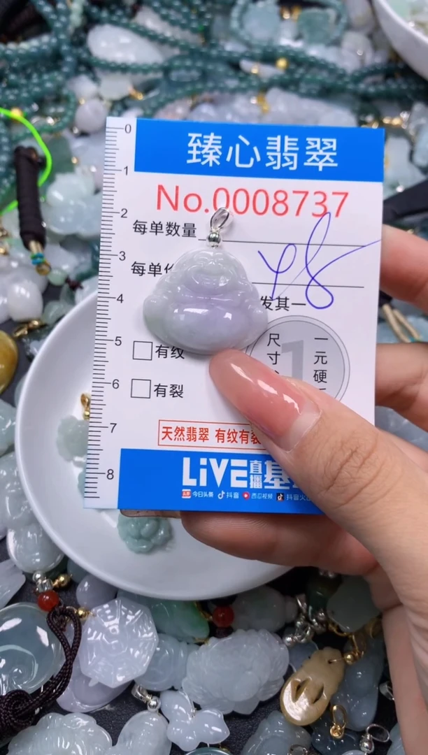 翡翠未镶嵌颈饰8737