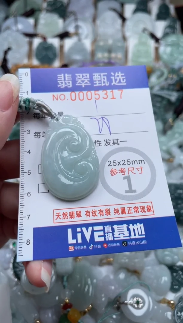 翡翠未镶嵌颈饰00..5317