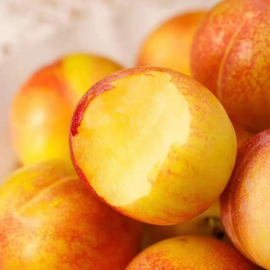 智利进口太阳李1-5斤装（坏果包赔顺丰包邮）