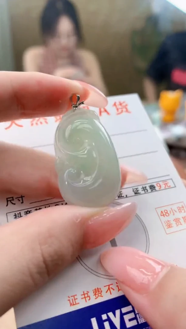 颈饰未镶嵌翡翠天然A货翡翠挂件