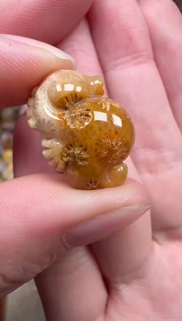 颈饰未镶嵌硅化珊瑚（珊瑚玉）303