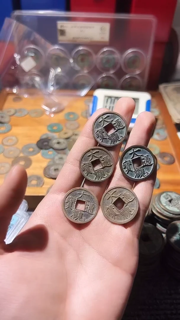 铜大*8不下播根/大观*5/33//