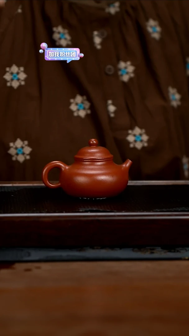 茶壶紫砂160cc黄龙山原矿朱泥容天12