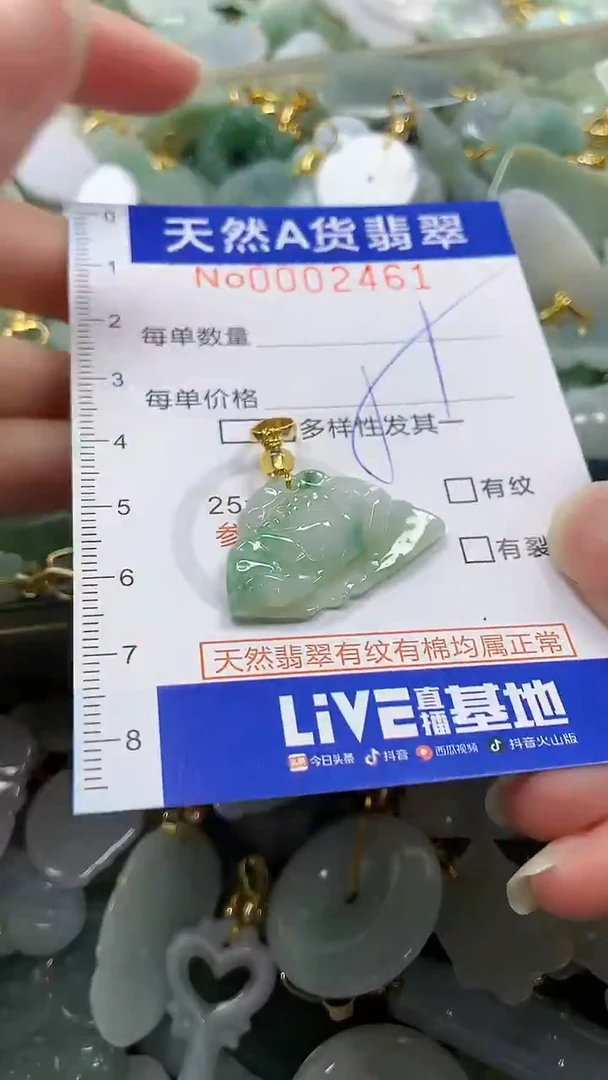 颈饰未镶嵌翡翠纯天然a货翡翠