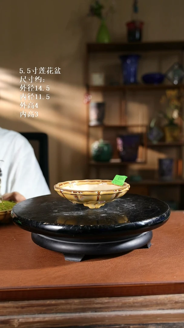 5.5寸莲花盆 846