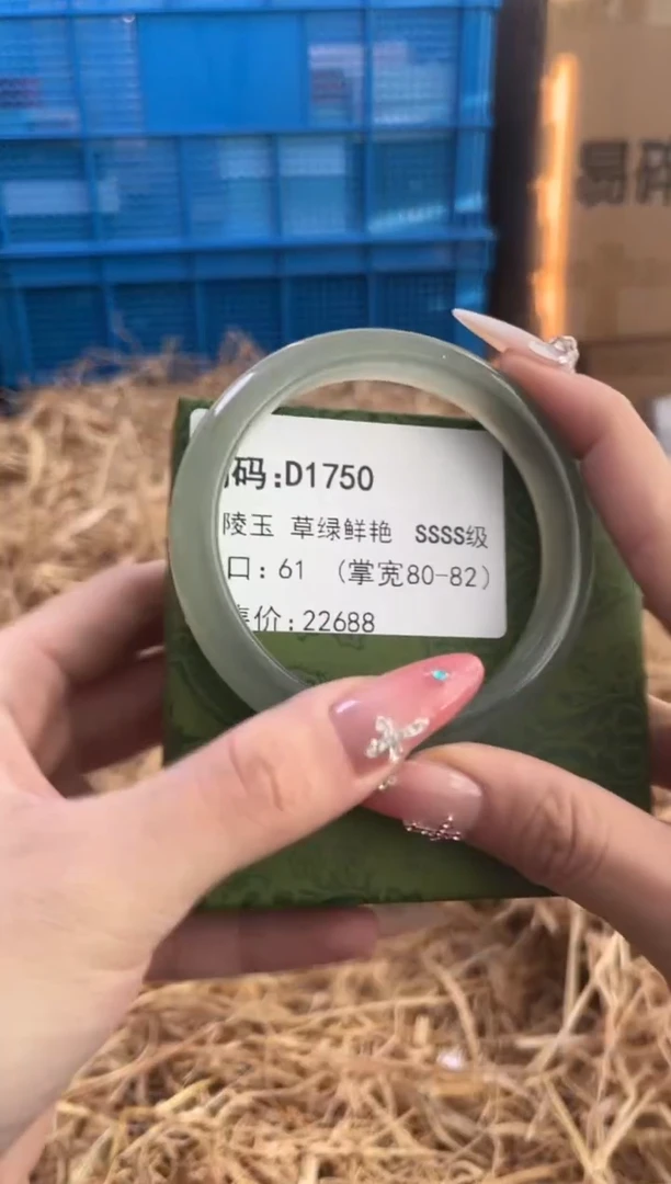 未镶嵌手镯石英质玉D1750