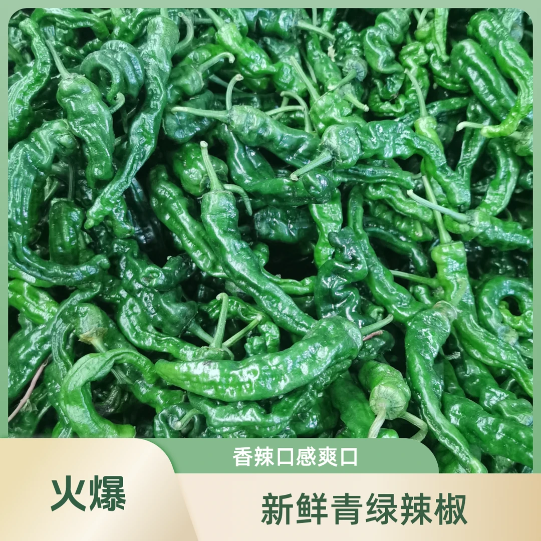 皱皮椒山东农家自种新鲜采摘特辣小皱皮辣椒3斤装京东快递辣椒同城送