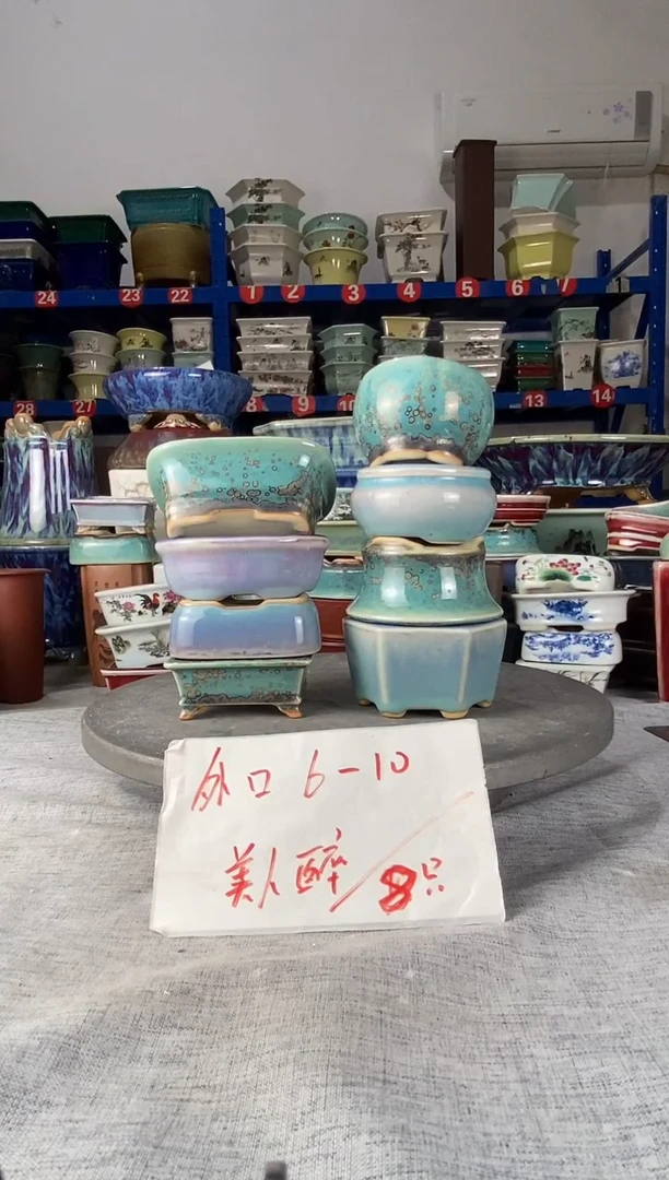 92510八只小美人醉