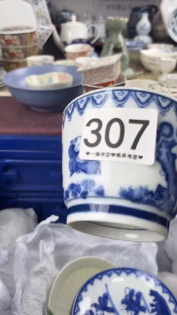 新*象307
