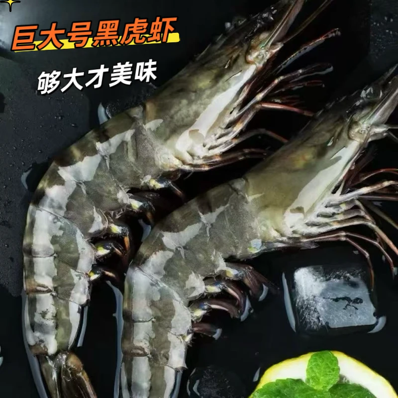 巨大号15/20规格A级黑虎虾带冰锁鲜发货 1斤9-11只 27只左右/3斤