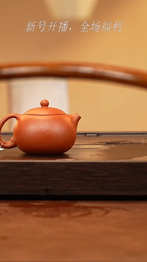 茶壶紫砂27y33西施