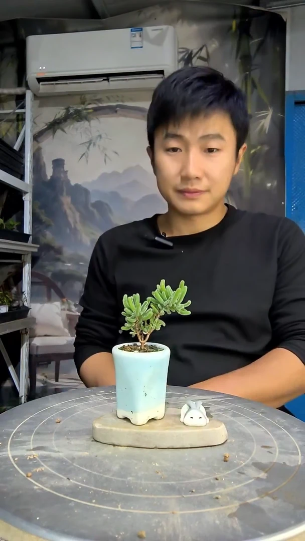 8中青园艺一物一拍花213