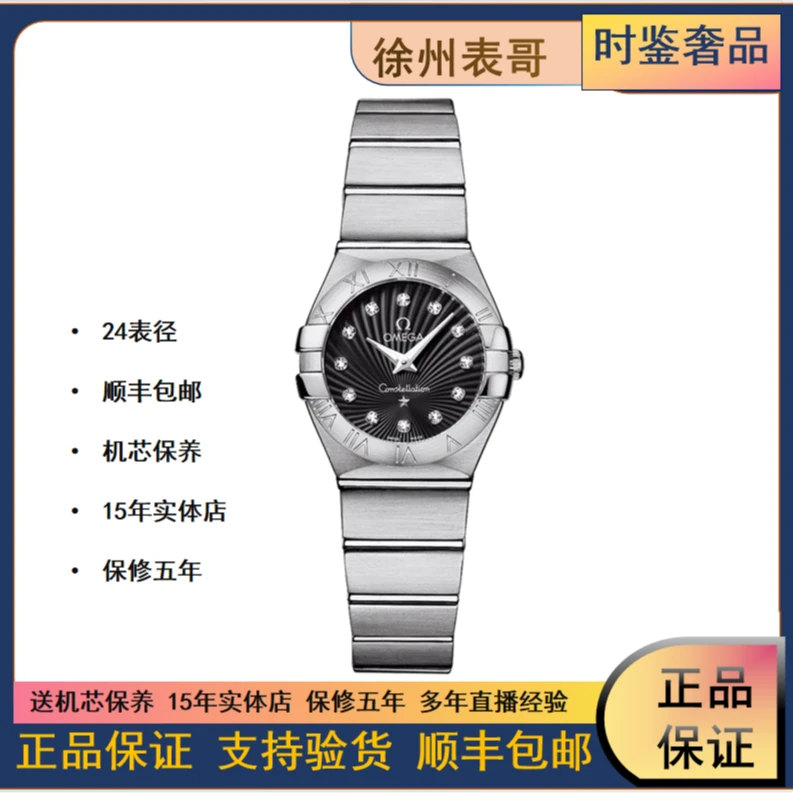 99新 Omega/欧米茄 星座/公价23500元/123.10.24.60.51.001