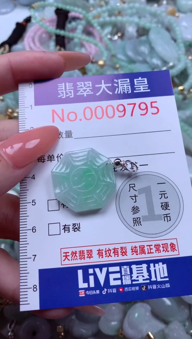 翡翠未镶嵌吊坠(不含链)9795