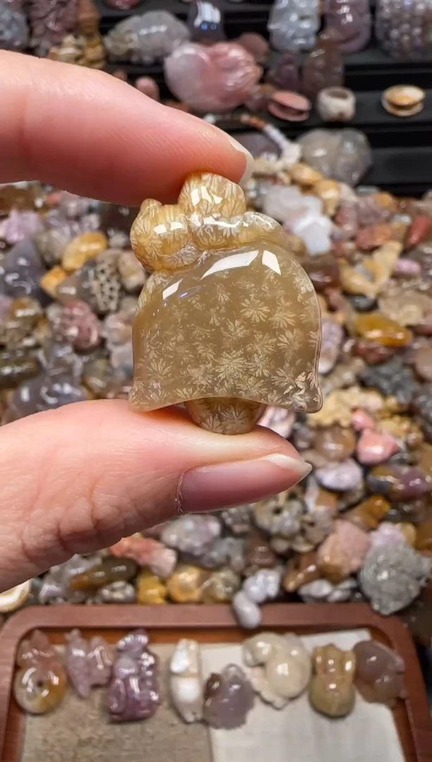 颈饰未镶嵌硅化珊瑚（珊瑚玉）812
