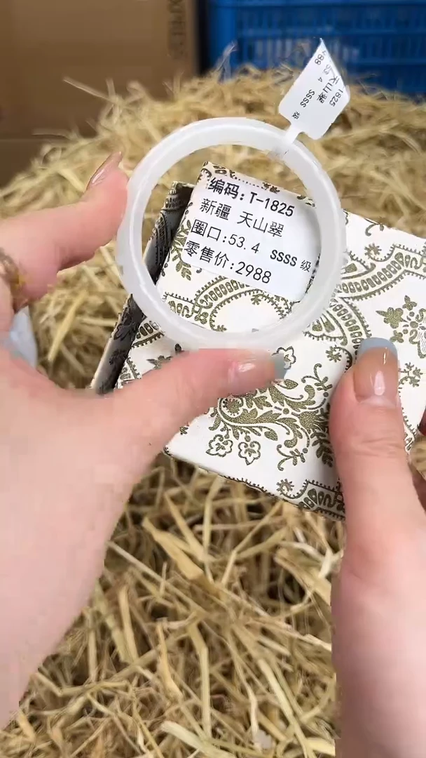 未镶嵌手镯石英质玉T-1825